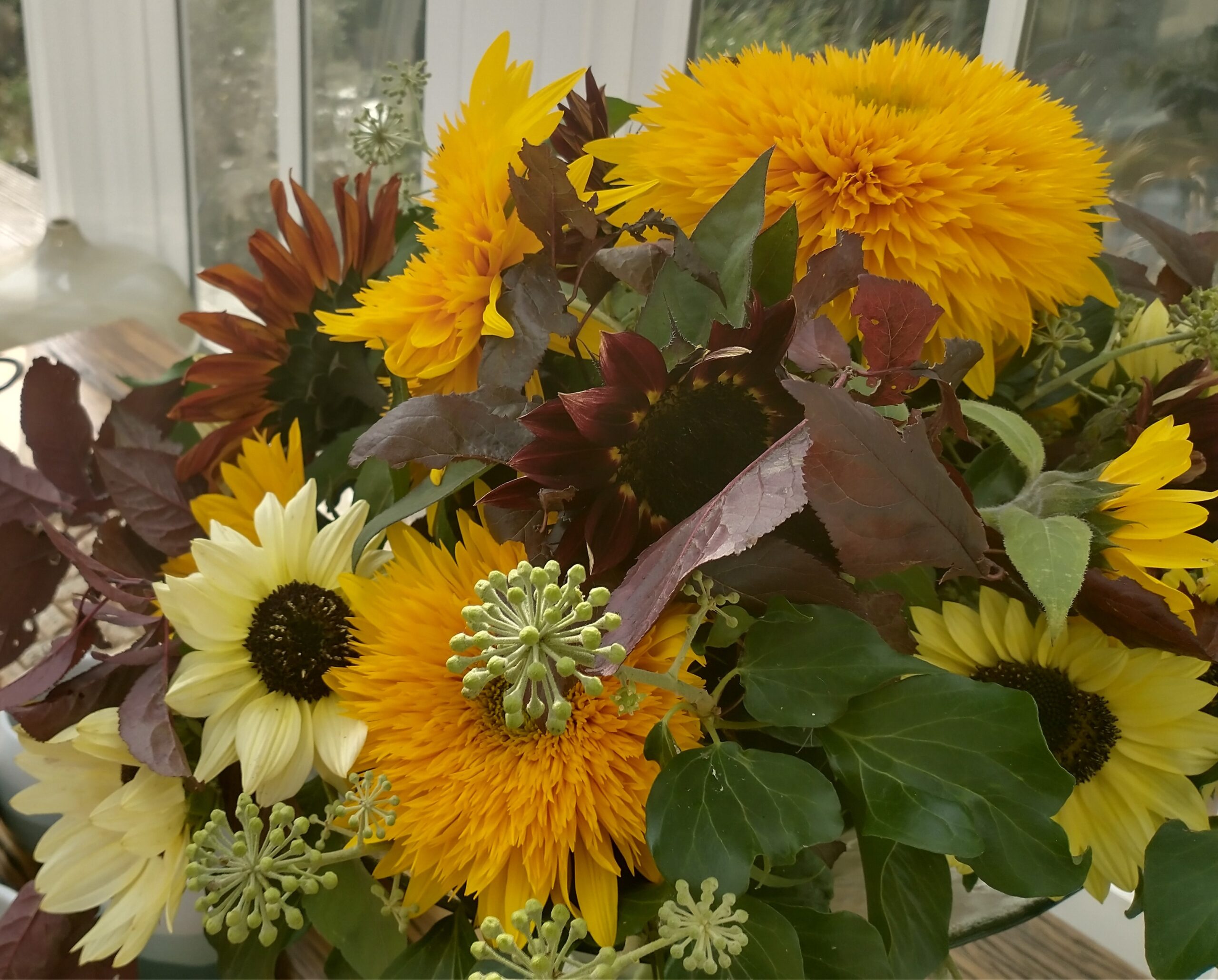 Would you like some local, sustainably grown and beautiful sunflowers for you business next year?
