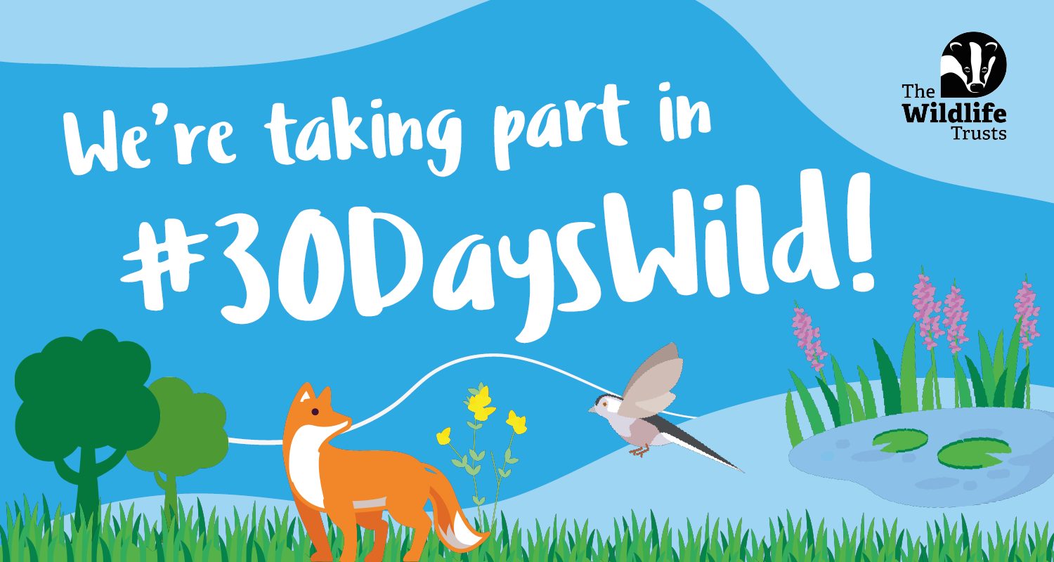 #30DaysWild