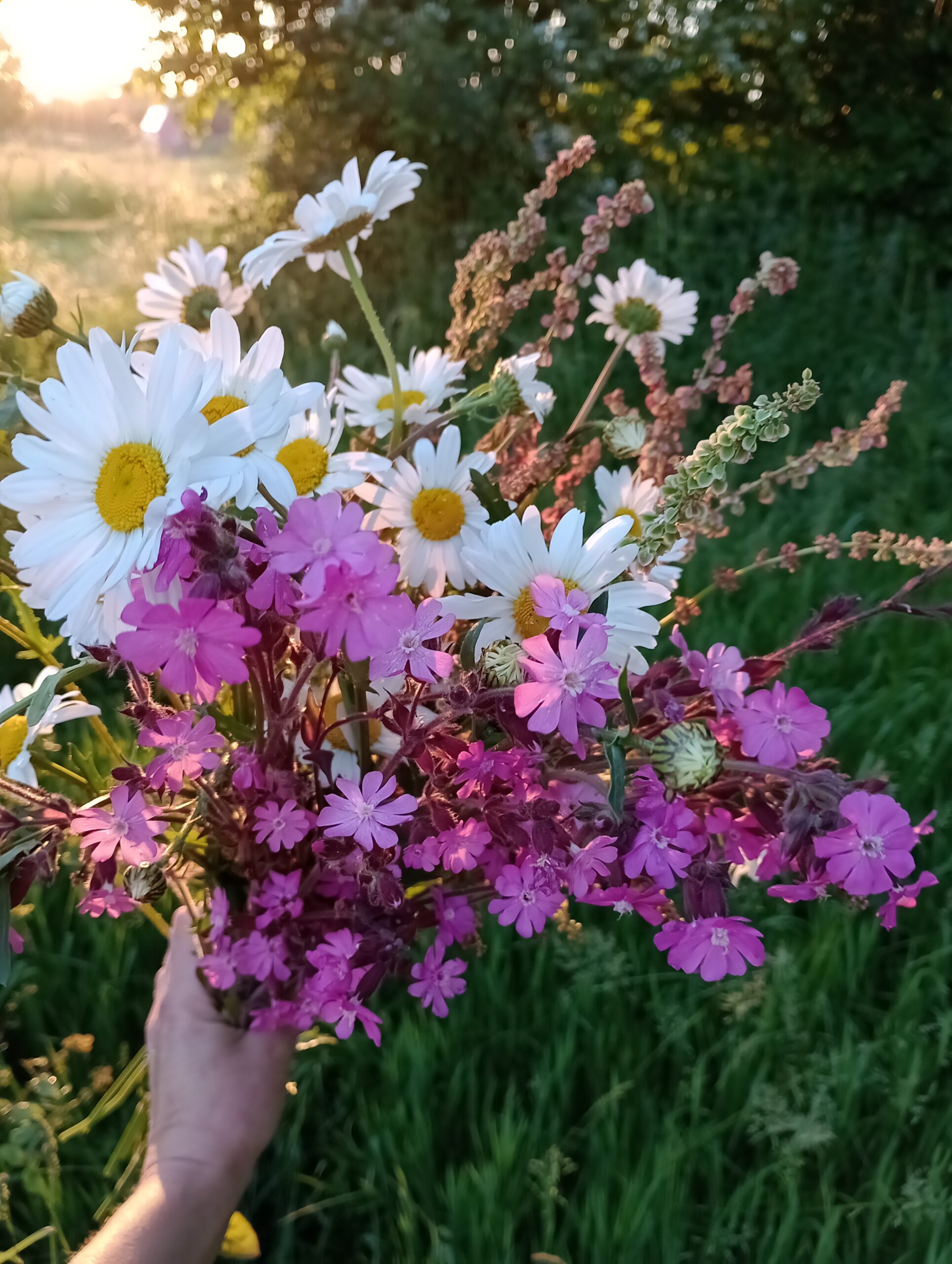 Flower & Foilage Farm: Stunning Foliage & Beautiful Wildflowers