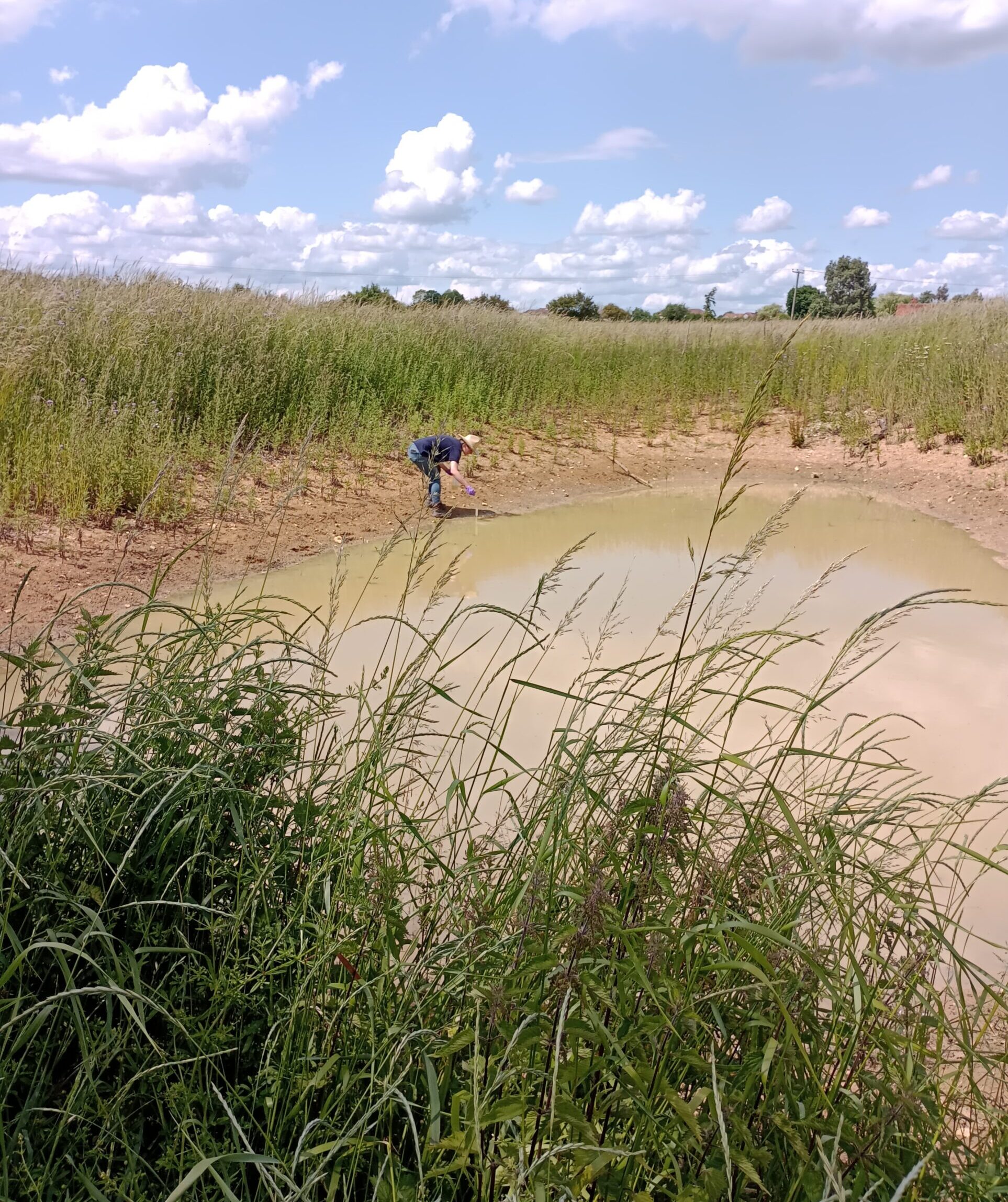 Ghost Pond Update